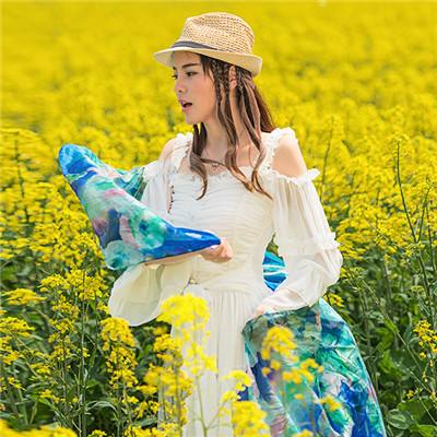 超次元大海战体验服下载
